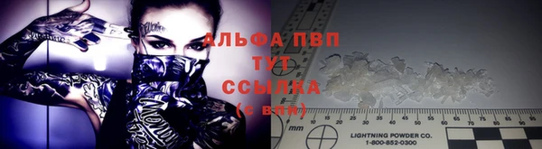 стаф Баксан