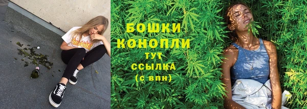 стаф Баксан