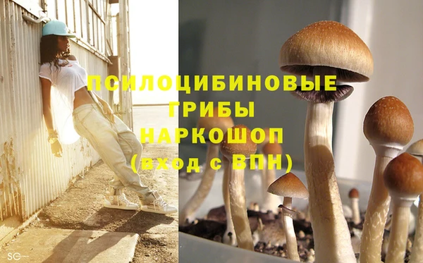 стаф Баксан