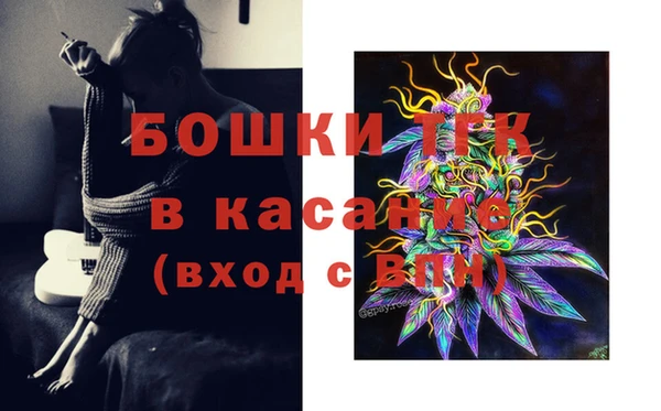 стаф Баксан